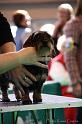 Crufts2011_2 1012